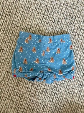 Baby Boden Teddy Bear Corduroy Shorts